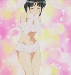Zero No Tsukaima Siesta Zero No Tsukaima Siesta